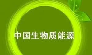 大庆市红骥牧场有限公司红骥牧场有限公司生物质颗粒燃料采购项目竞争性磋商公告