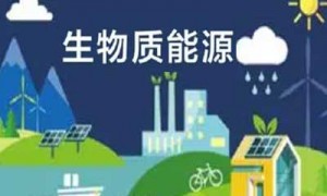 宜黄县生物质热电联产项目取水口防洪评价服务采购公告